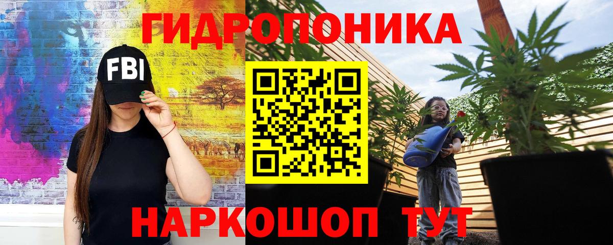 Конопля White Widow Аргун